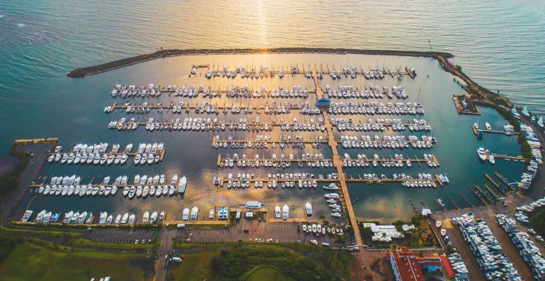 Safe Harbor Puerto Del Rey business image