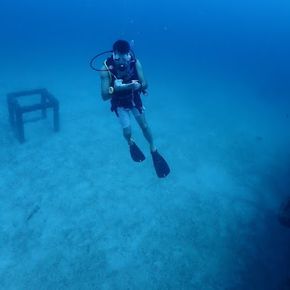 Dive with Mike business image
