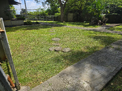 Image Link to business