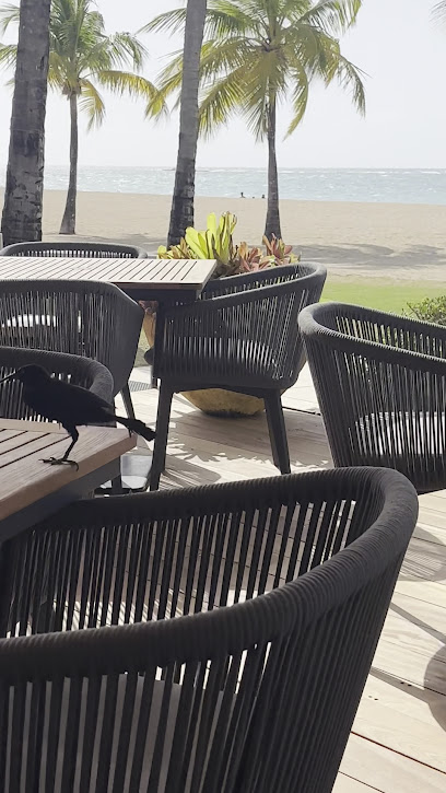 Papaya Ocean Grill business image