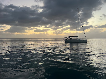 Katarina Sail Charters business image