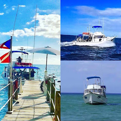 Adventures Tourmarine business image