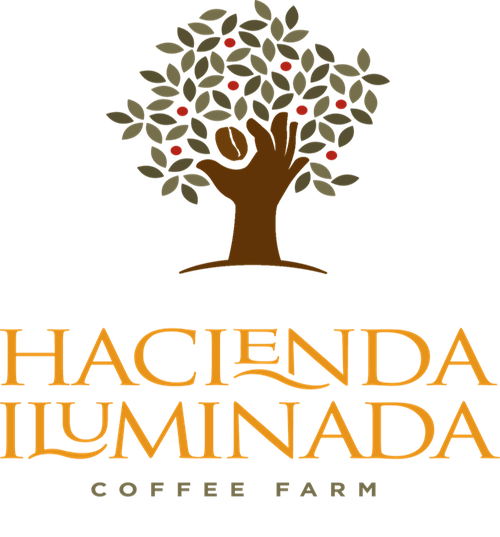 Hacienda Iluminada Coffee Farm business image