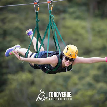 Toro Verde Adventure Park business image