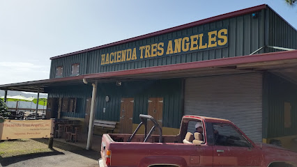 Hacienda Tres Ángeles business image