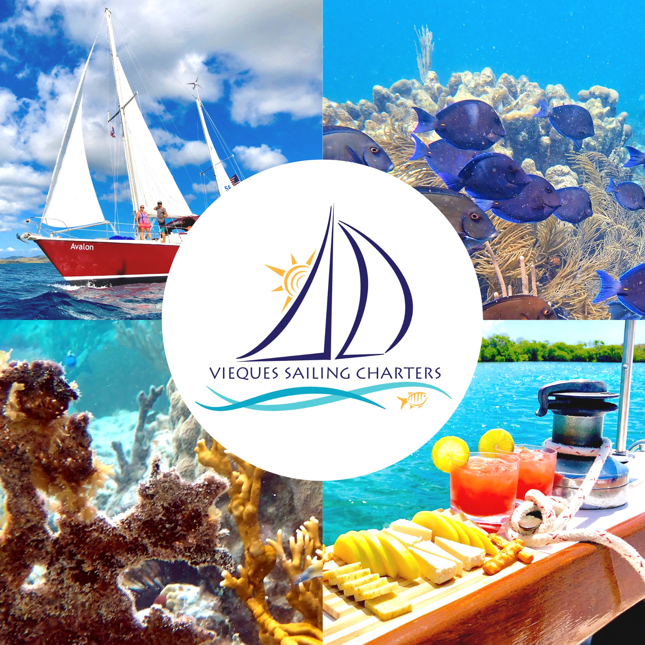 Ahoy Vieques Sailing Charters business image