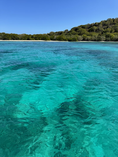 Culebra Bluewater Charters business image