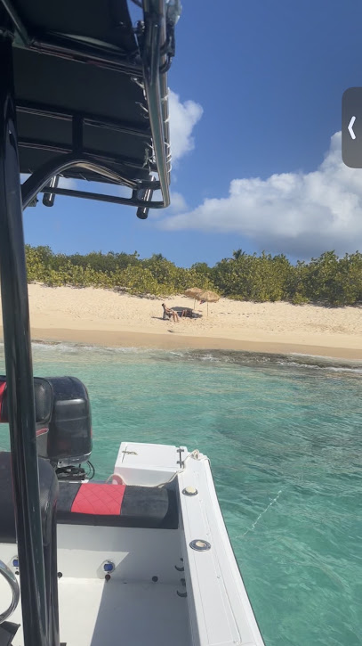 Blue Wave Adventure boat Rental & Jetski rental Puerto Rico business image