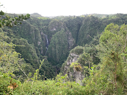Cañón San Cristóbal business image