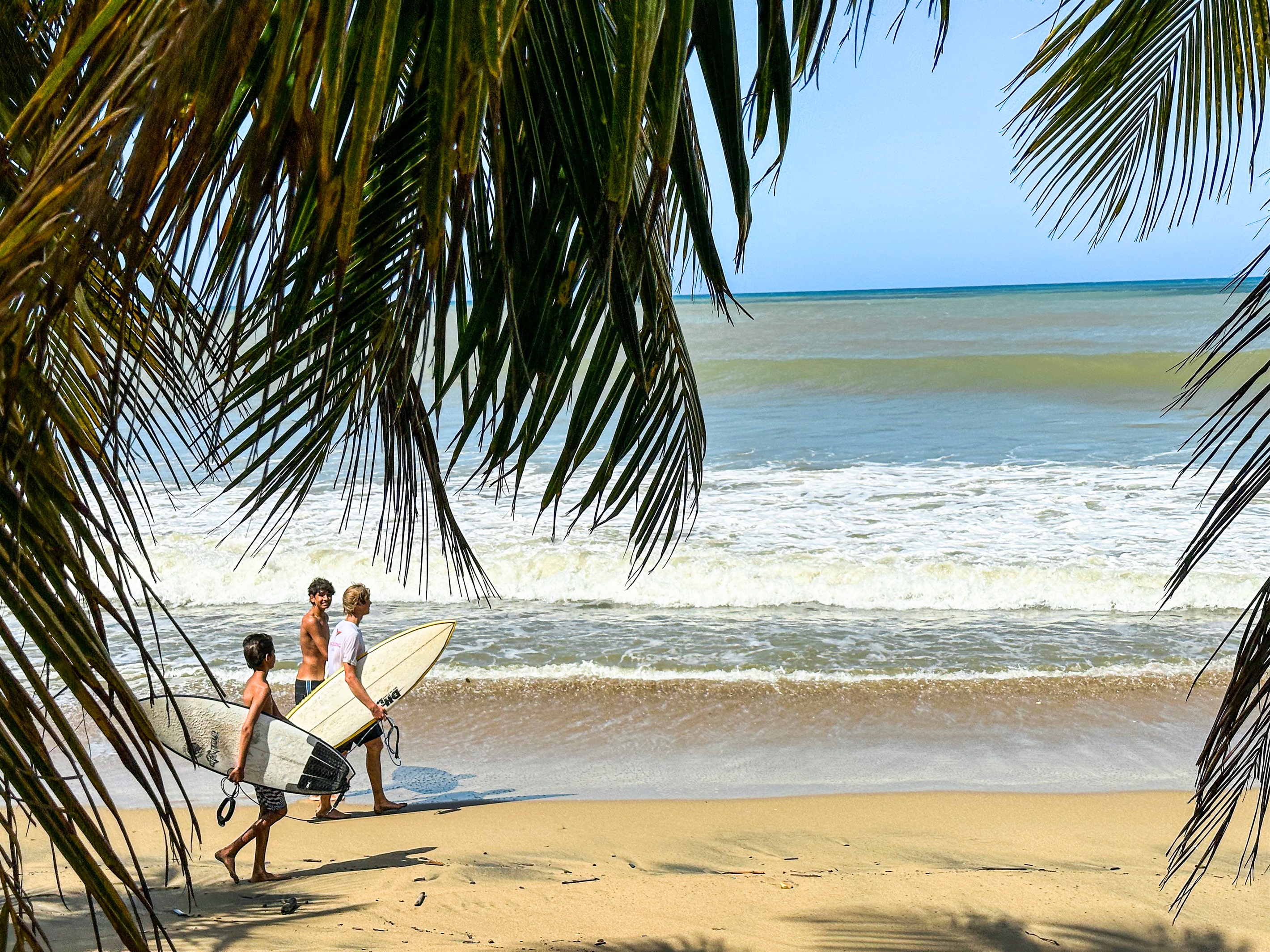 Casa Ballena at Eco Resort business image