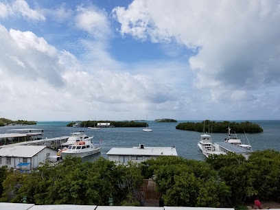Gina’s Johnny's Boats business image