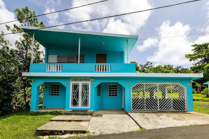 Rainforest Retreat business image