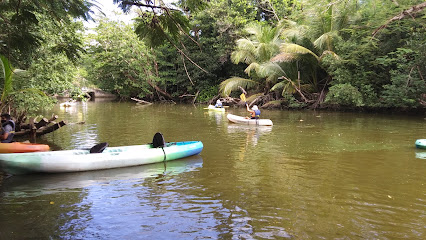 Humacao Nature Preserve business image