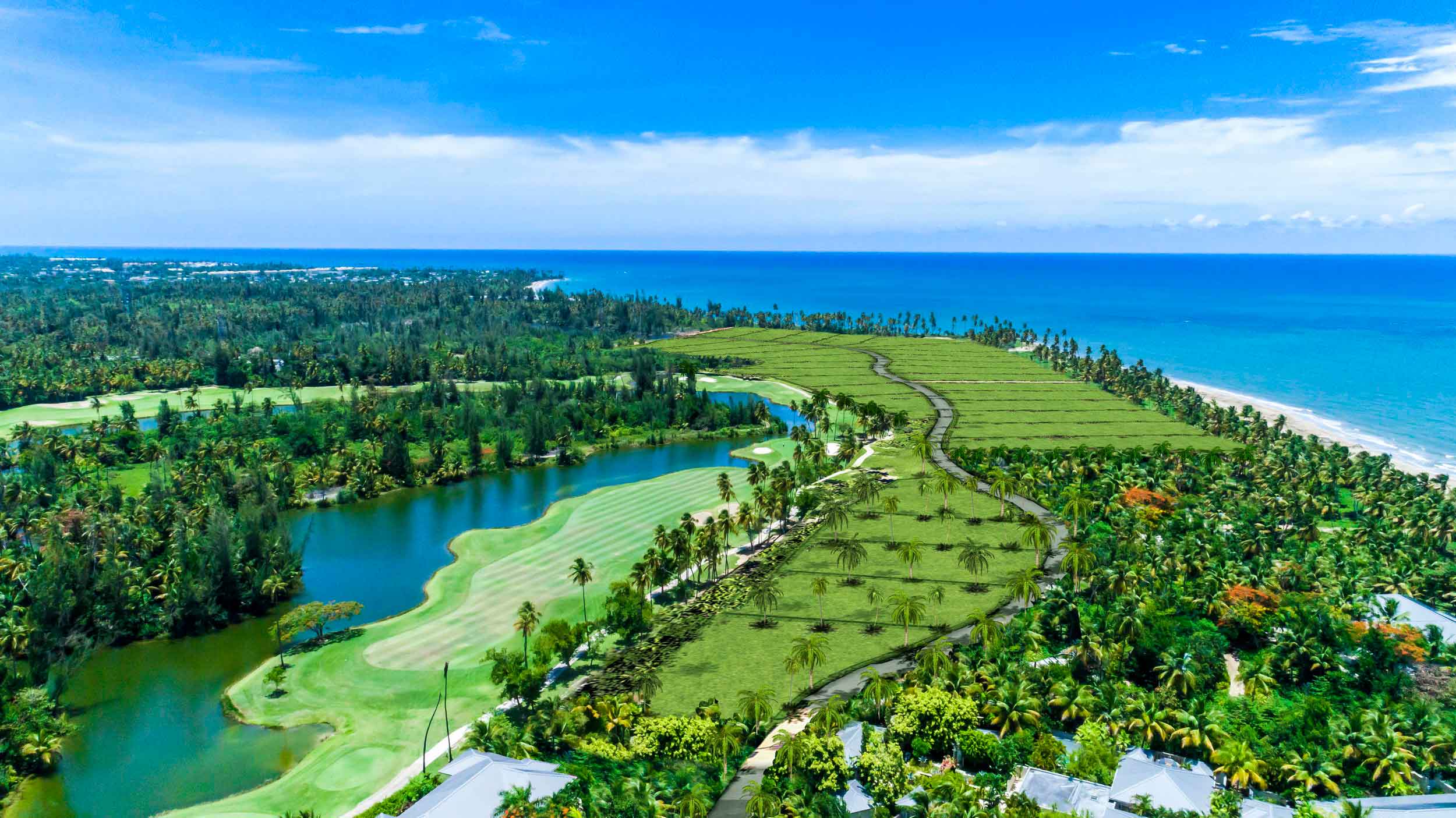Bahia Beach Resort & Golf Club business image