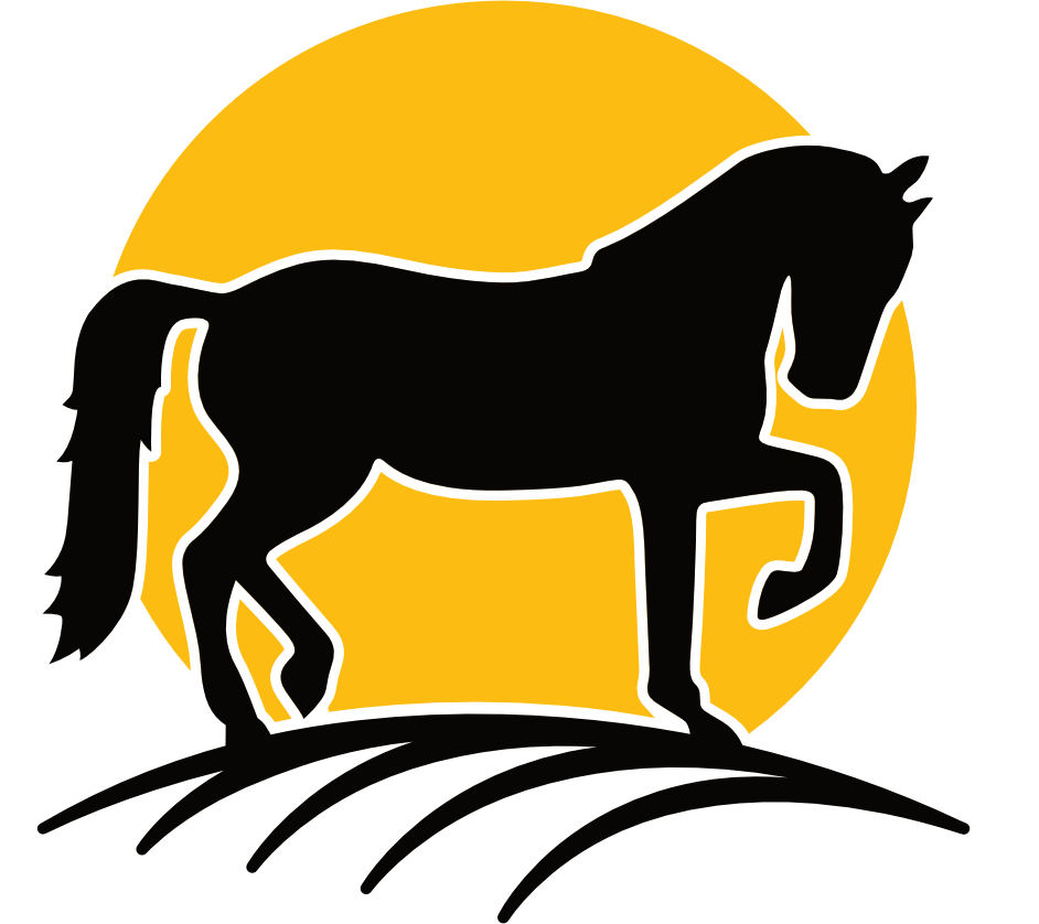Pintos "R" Us Trail Rides business image