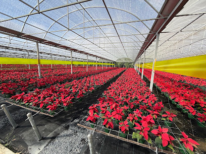 Meyer Nurseries business image