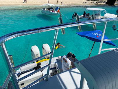 Island Reef Tours business image