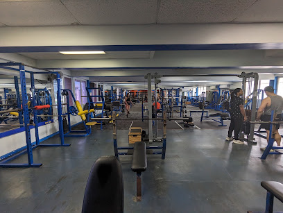 Sports Gym business image