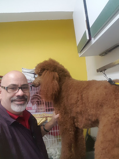 Condado Grooming Salon & Pet Boutique business image