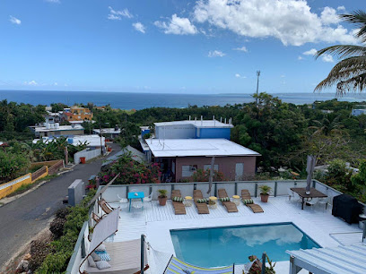 Rincon Surf Club business image
