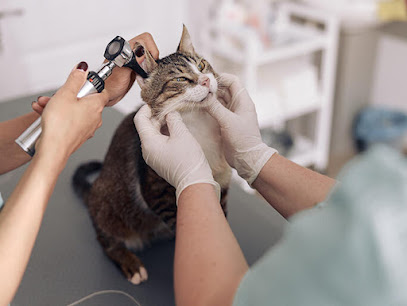 Banfield Pet Hospital business image