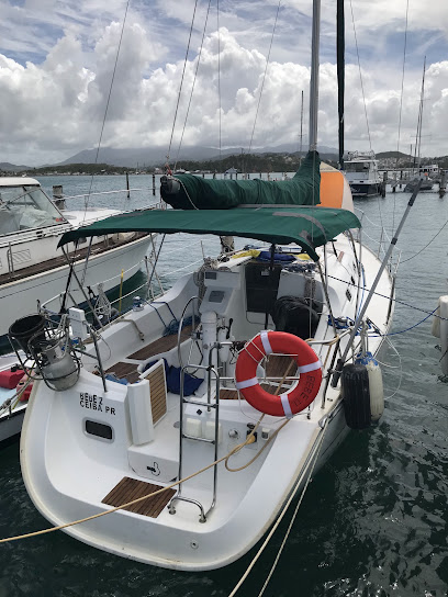 Caribbean Sailing Solutions business image