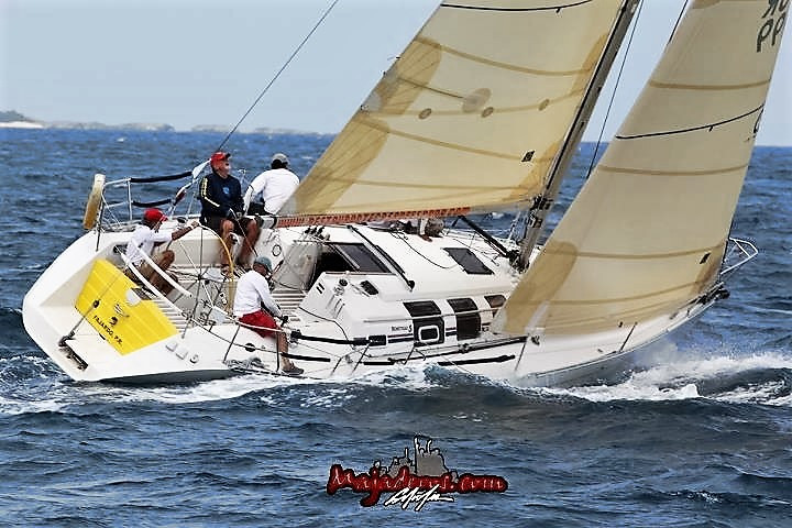 Puerto Rico Sailing School business image