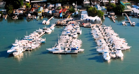 Marina Puerto Real business image