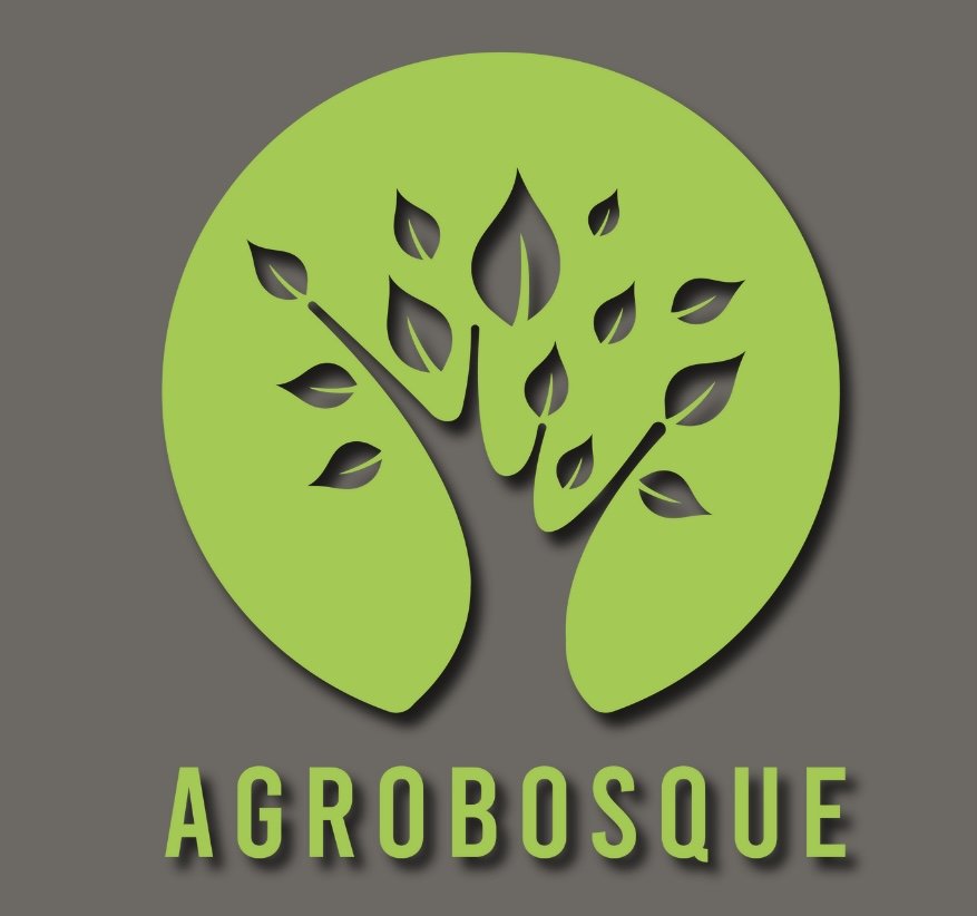 Image Link to business