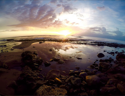 Villa Playa Maria business image