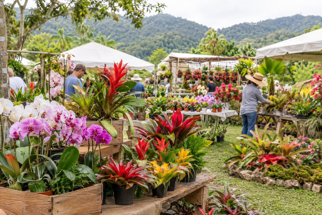 Orchids, bromeliads, and visitors at an Aibonito mountain flower festival