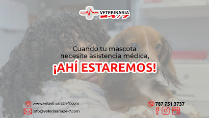 Veterinaria 24/7 business image