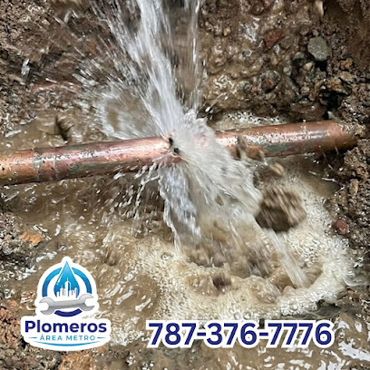 Plomeros Area Metro business image