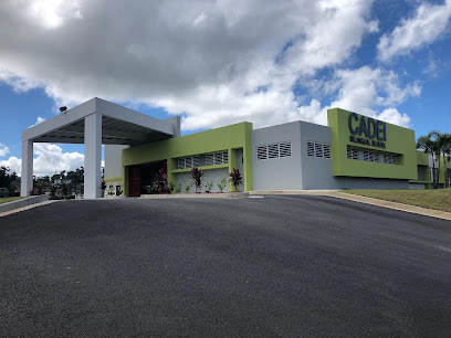 Image Link to business