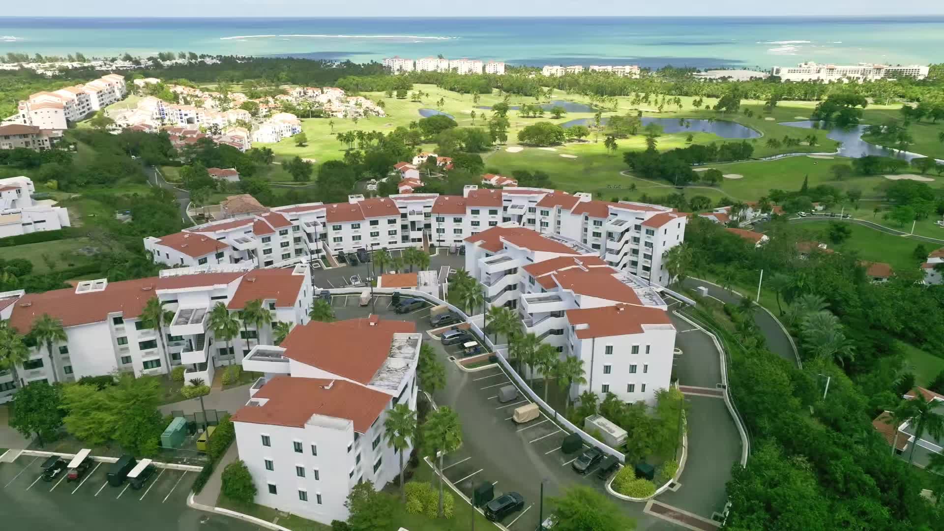 MiCorredor business image