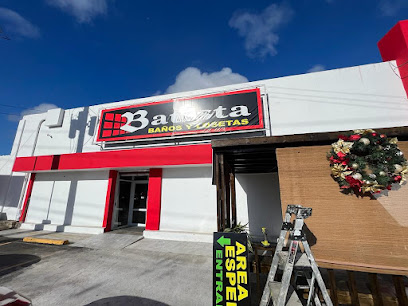 Batista business image