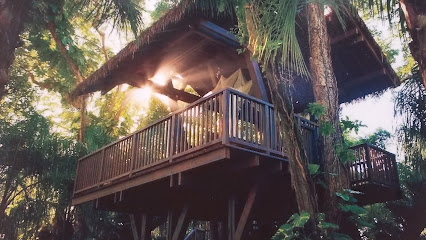Dorado Beach Estates business image