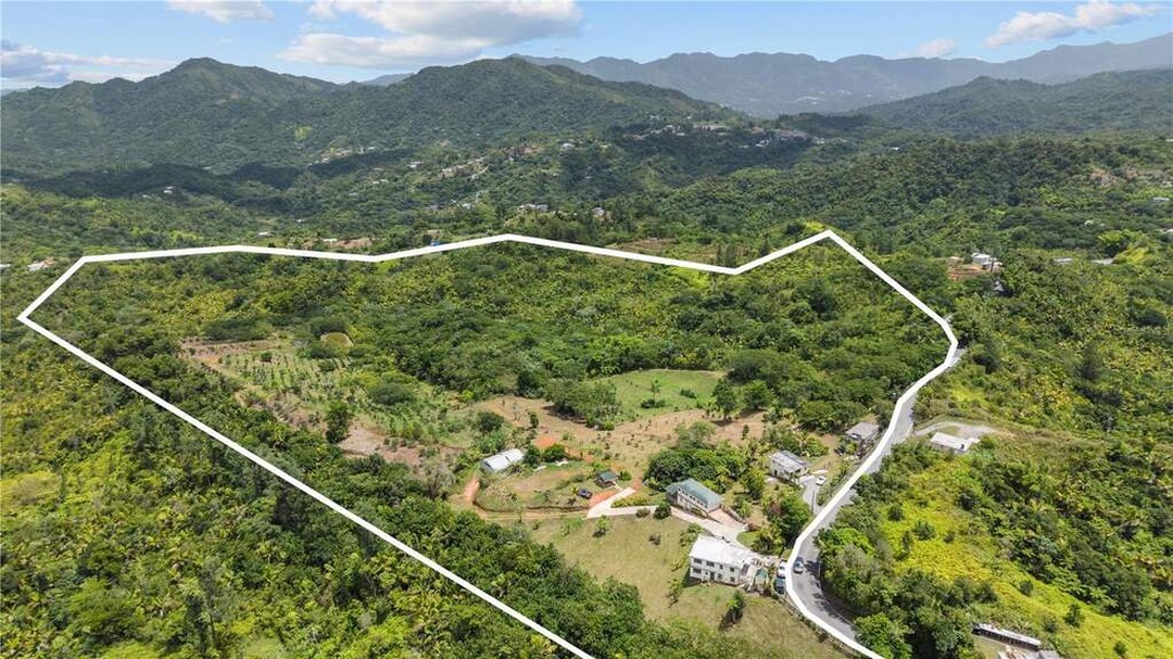 Aerial view of the Carretera 143 property in Utuado, with the parcel boundary outlined.