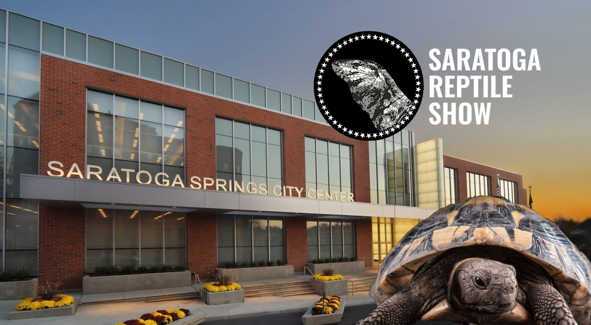 Saratoga Reptile Show Nov 16, 2025 Saratoga Springs, NY