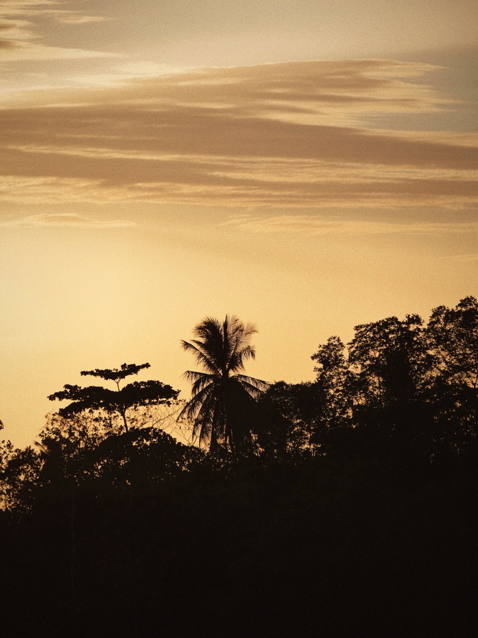CASA CALETAS - Manzanillo, Costa Rica