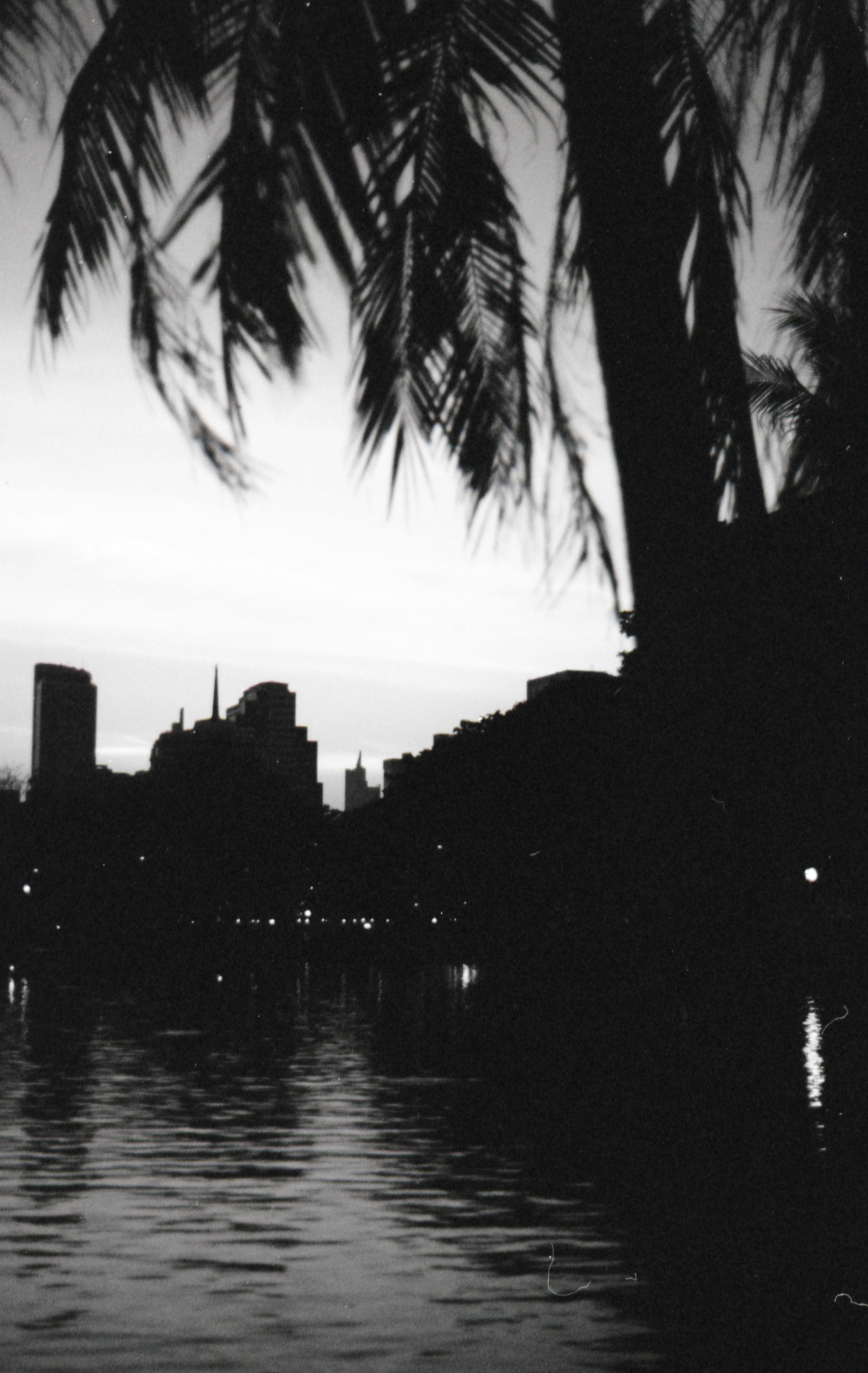Silhouette of palm tree leaves and city skyline at dusk with reflections on water.