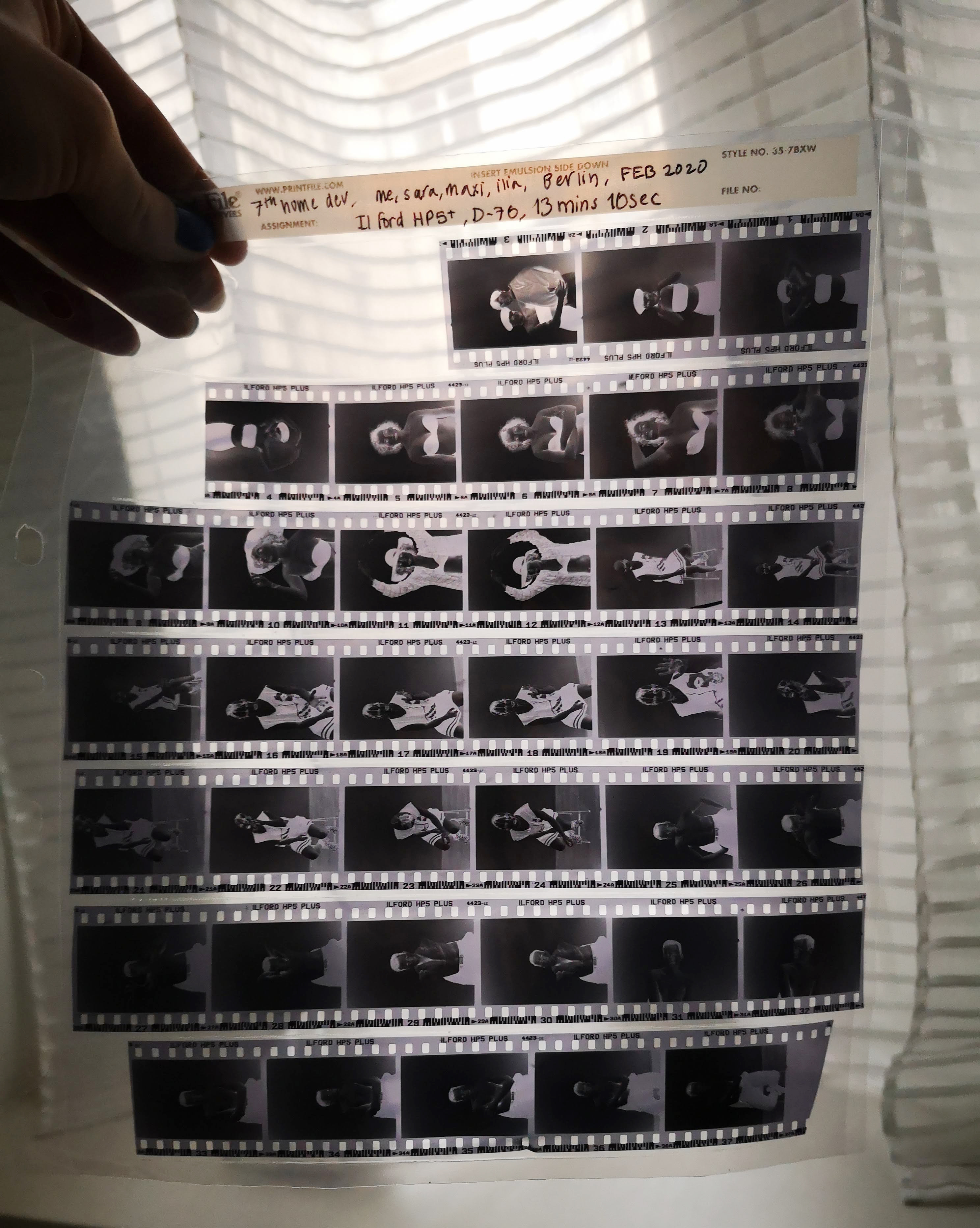 Hand holding a sheet of black and white photo negatives against a window with striped blinds.