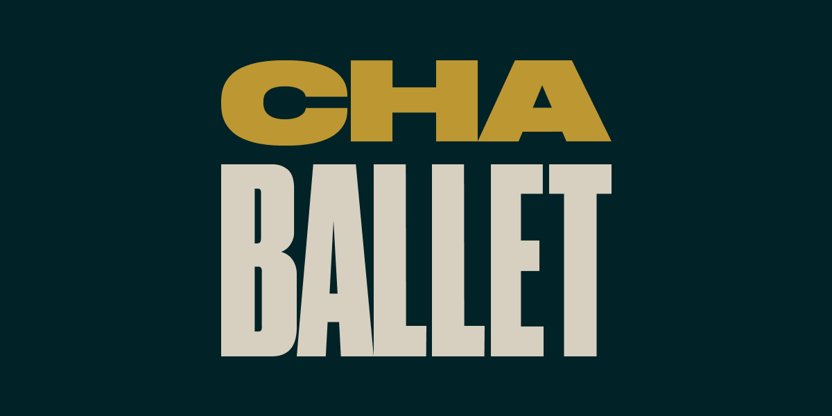 Chattanooga Ballet — dance studio in Chattanooga, TN