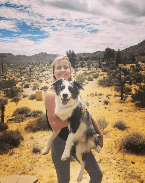 scout-modern-pet-care-management-software