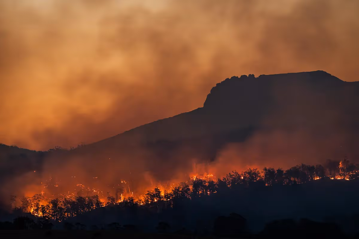 Australia's Emergency Response Capability and Preparedness