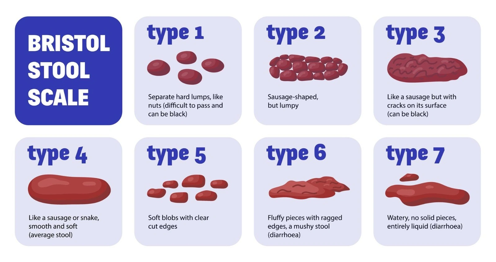 Carnivore Diet Poop Chart