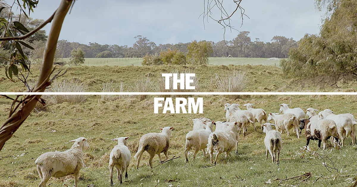 Representative overview image of The Farm Margaret River