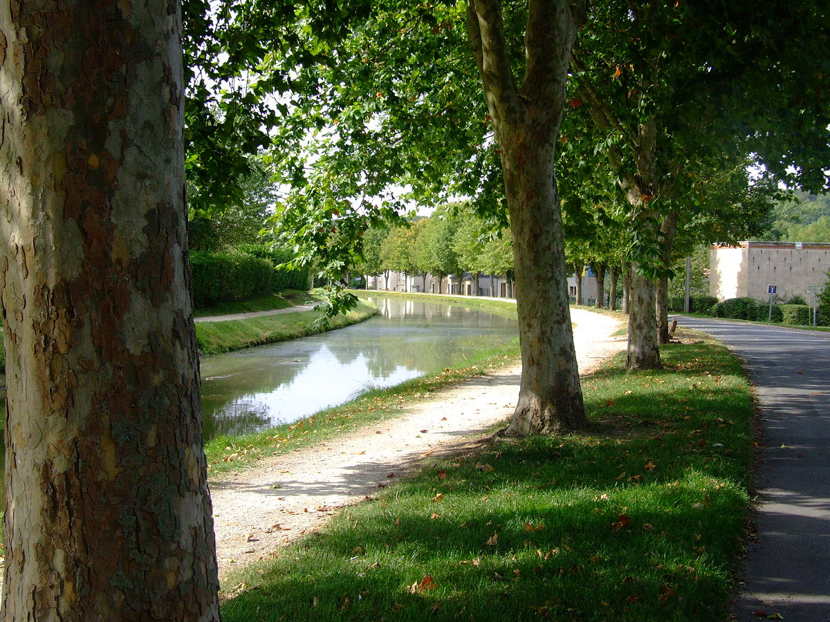 Il s'agit d'une photo de la ville St Amand Montrond.