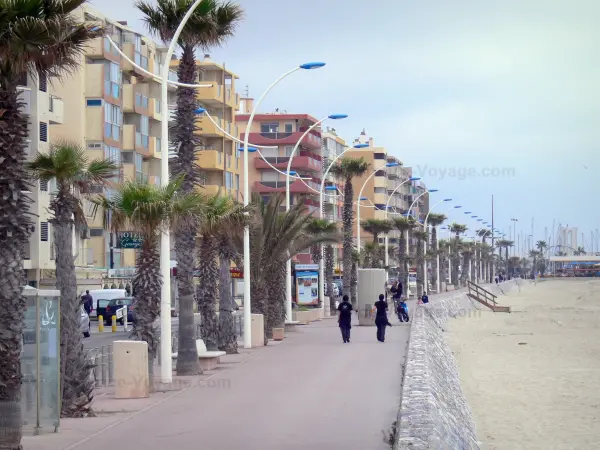 Il s'agit d'une photo de la ville Canet en Roussillon.