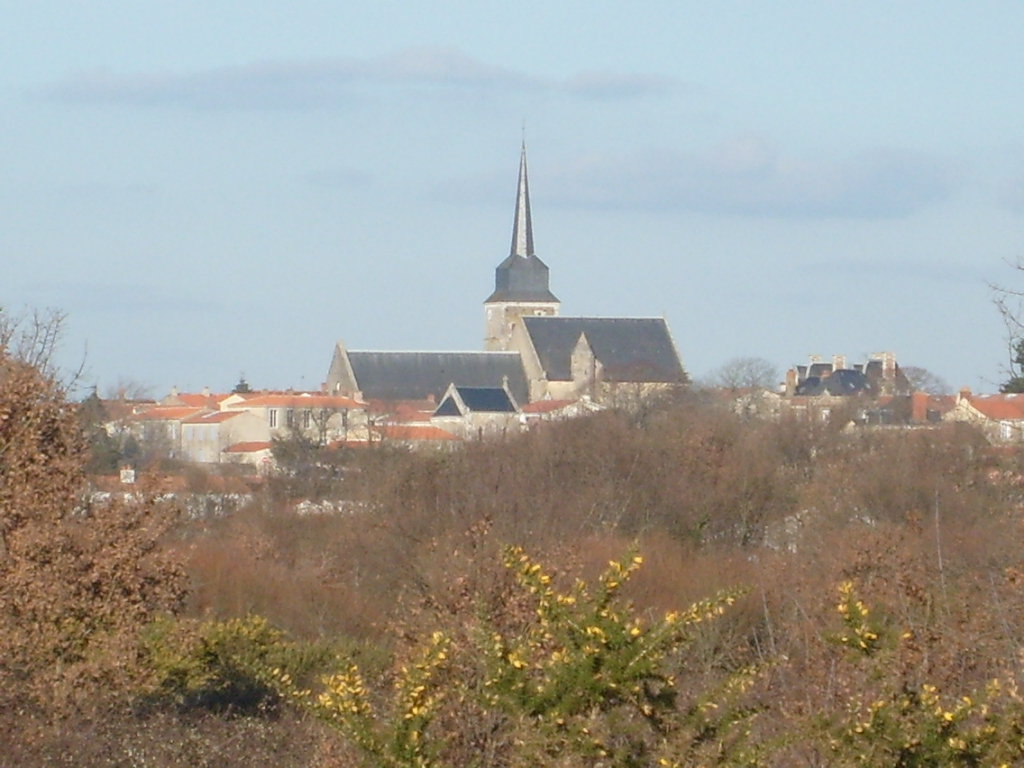Il s'agit d'une photo de la ville Olonne sur Mer.